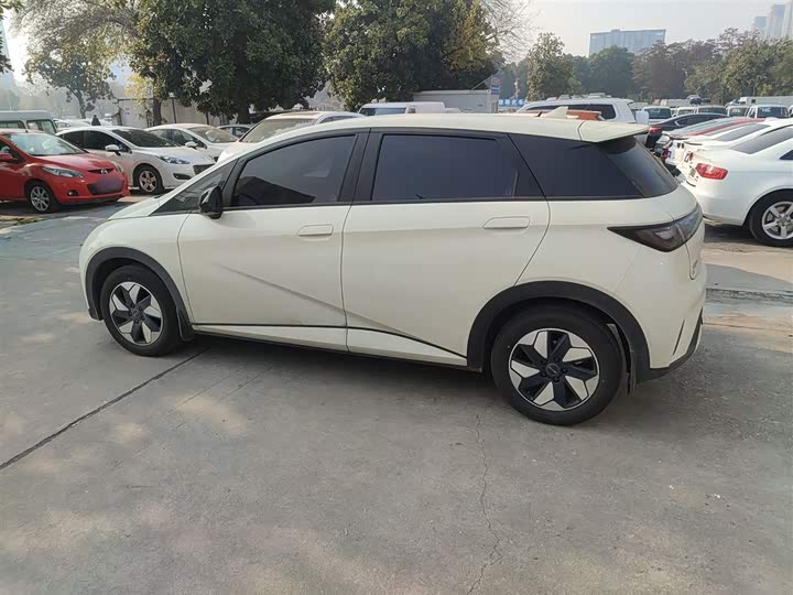 BYD Dolphin 2025 2025款 420km 自由版