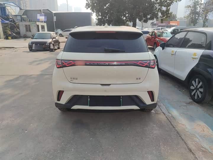 BYD Dolphin 2025 2025款 420km 自由版