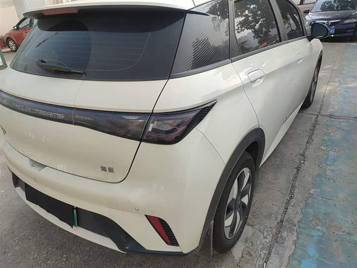 BYD Dolphin 2025 2025款 420km 自由版