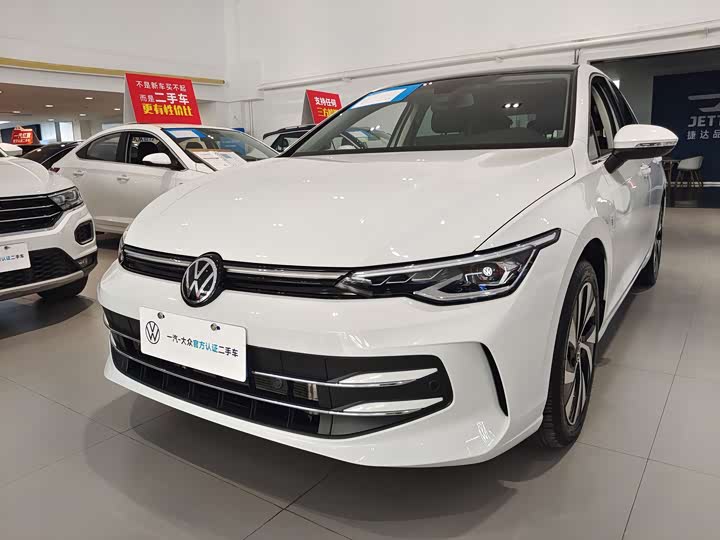 Volkswagen Golf 2025 2025款 300TSI Pro