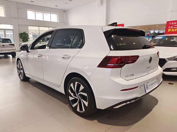 Volkswagen Golf 2025 2025款 300TSI Pro