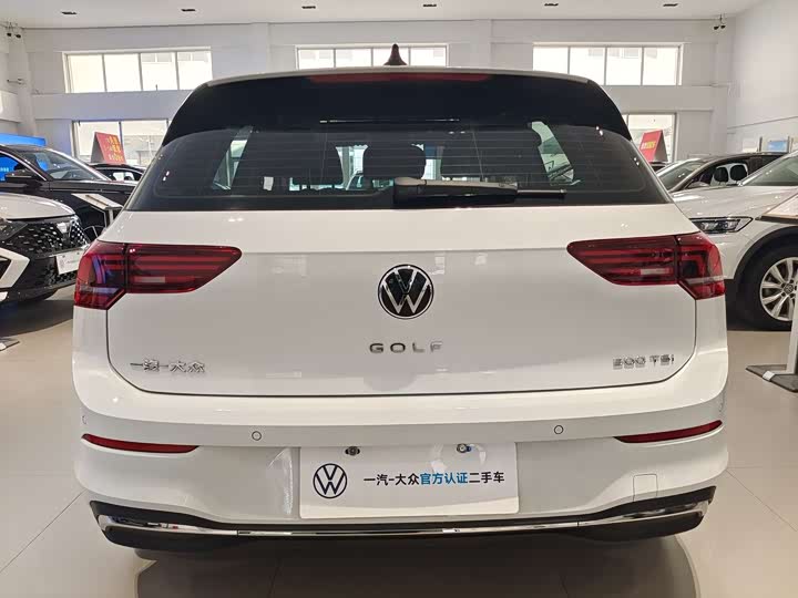 Volkswagen Golf 2025 2025款 300TSI Pro