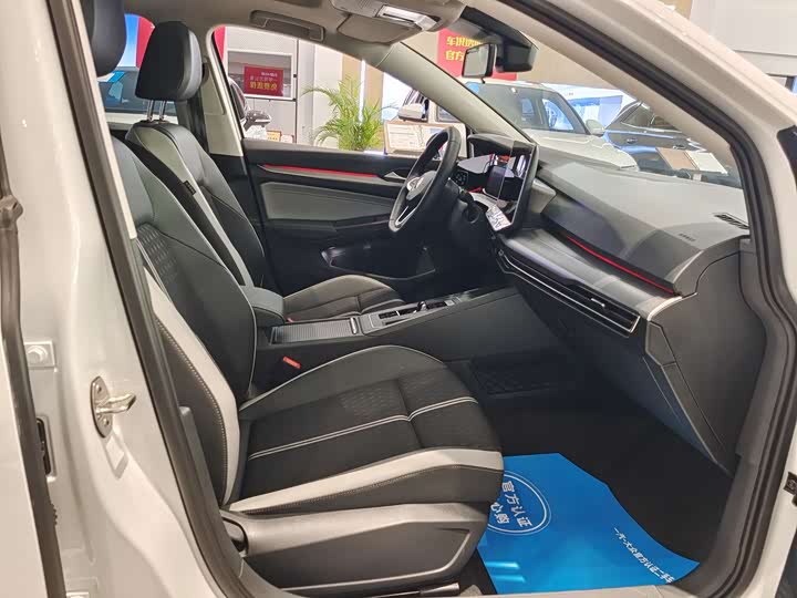 Volkswagen Golf 2025 2025款 300TSI Pro