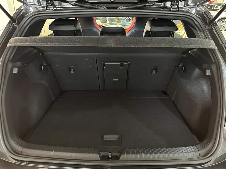 Volkswagen Golf GTI 2023 2023款 380TSI DSG GTI