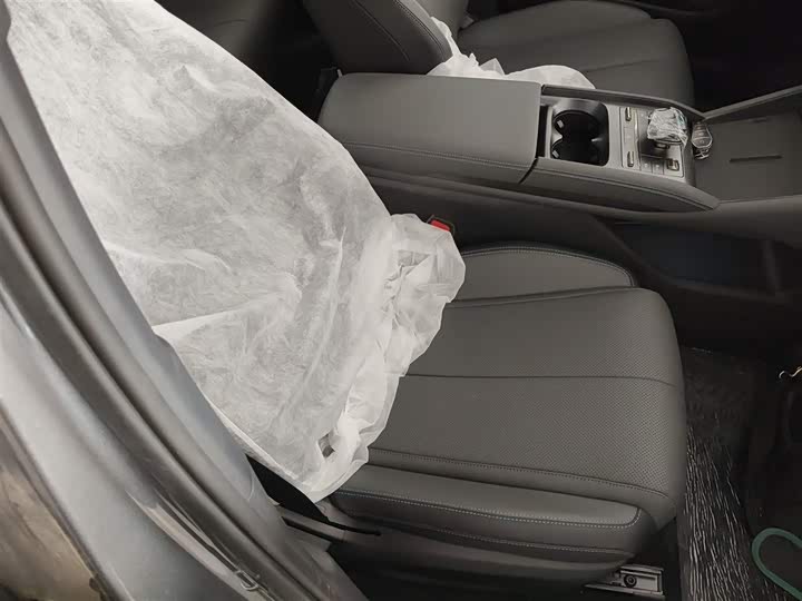 BYD Qin L 2025 2025款 DM-i 智驾版 80KM超越型