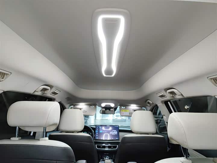 BYD Song Max Hybrid 2022 2022款 DM-i 105KM 行政版