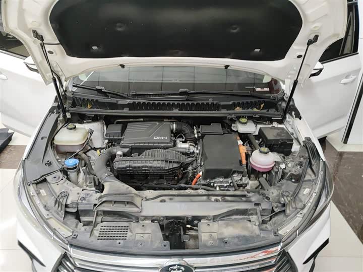 BYD Song Max Hybrid 2022 2022款 DM-i 105KM 行政版