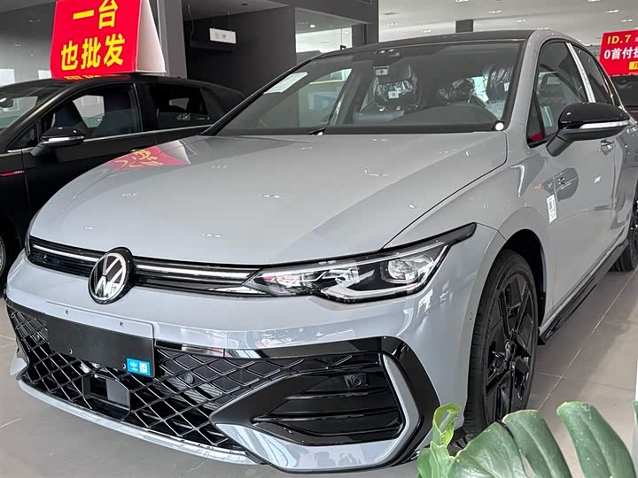 Volkswagen Golf 2025 2025款 300TSI R-Line