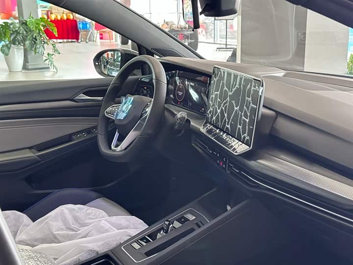 Volkswagen Golf 2025 2025款 300TSI R-Line