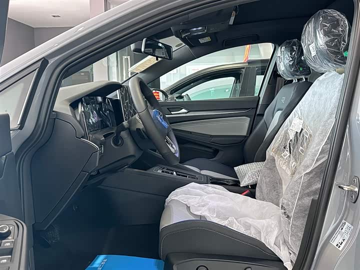 Volkswagen Golf 2025 2025款 300TSI R-Line