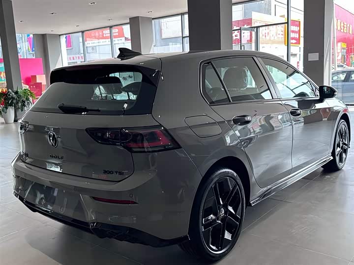 Volkswagen Golf 2025 2025款 300TSI R-Line