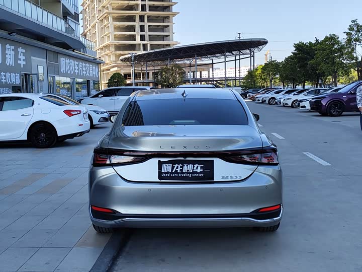 Lexus ES 2025 2025款 200 臻享版
