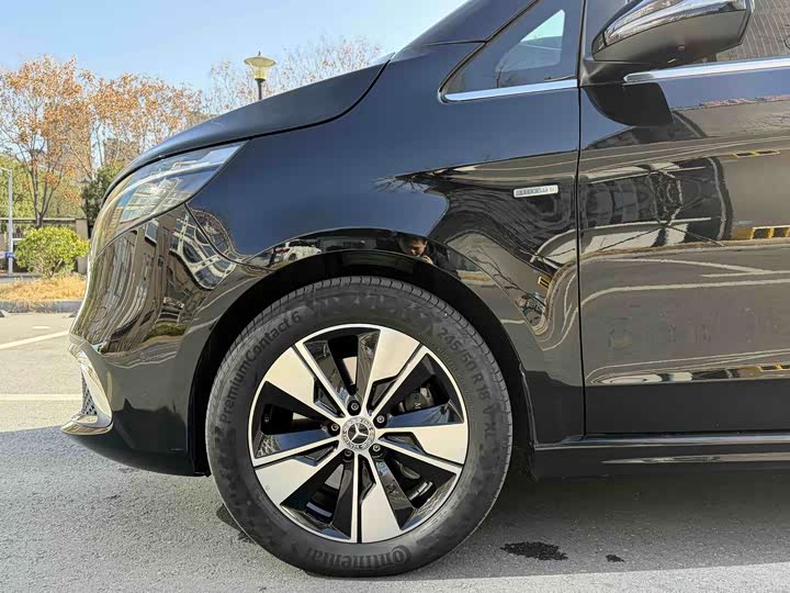 Mercedes-Benz V-Class 2022 2022款 V 260 尊贵版
