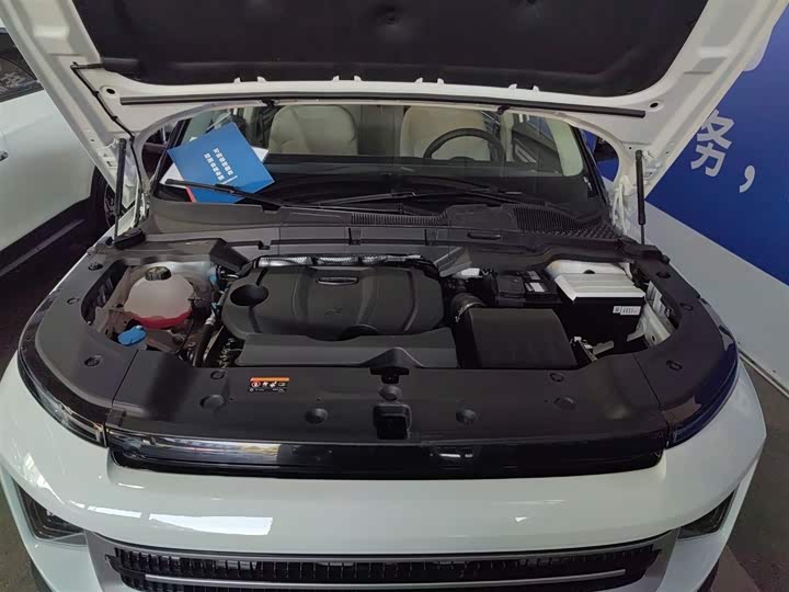 Geely Icon 2025 2025款 玲珑 1.5TD 如意版