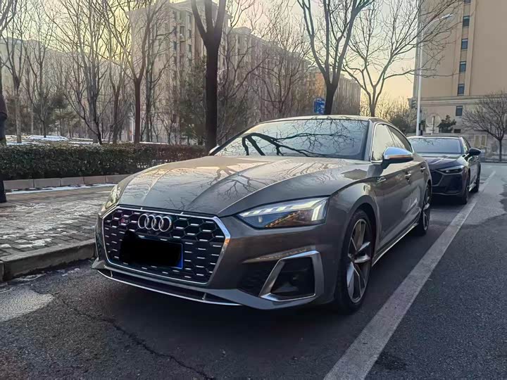 Audi S5 2024 2024款 S5 3.0T Sportback