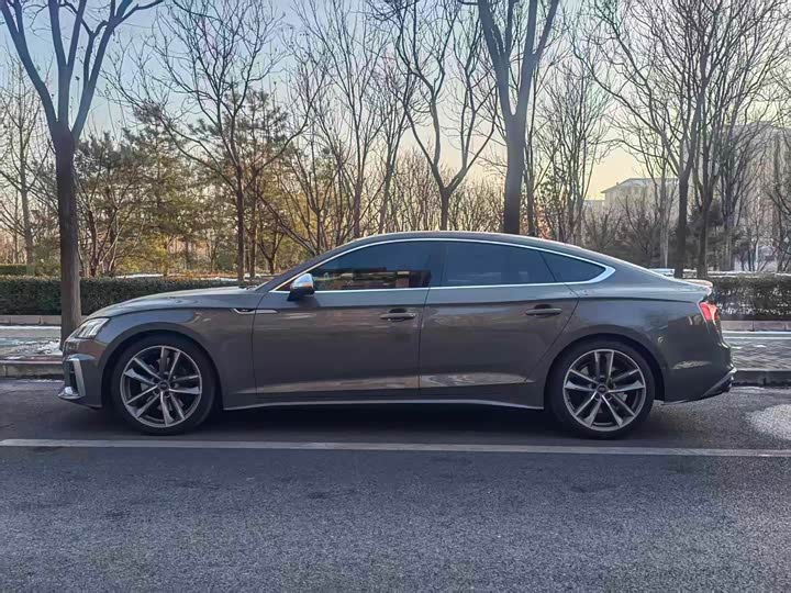 Audi S5 2024 2024款 S5 3.0T Sportback