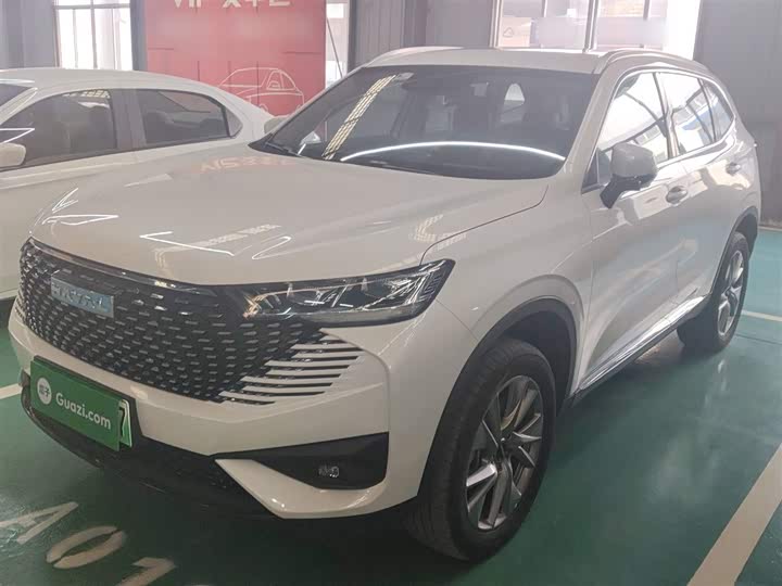 Haval H6 Hybrid 2023 2023款 DHT-PHEV 110KM 悦行版