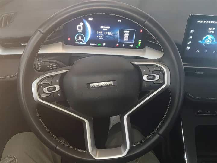 Haval H6 Hybrid 2023 2023款 DHT-PHEV 110KM 悦行版