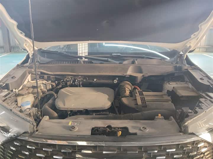 Haval H6 Hybrid 2023 2023款 DHT-PHEV 110KM 悦行版