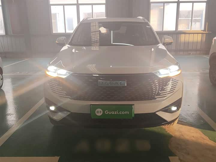 Haval H6 Hybrid 2023 2023款 DHT-PHEV 110KM 悦行版