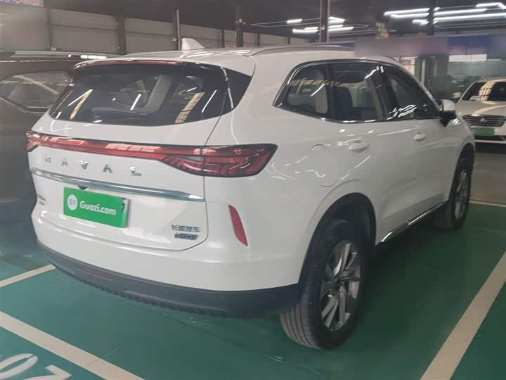 Haval H6 Hybrid 2023 2023款 DHT-PHEV 110KM 悦行版
