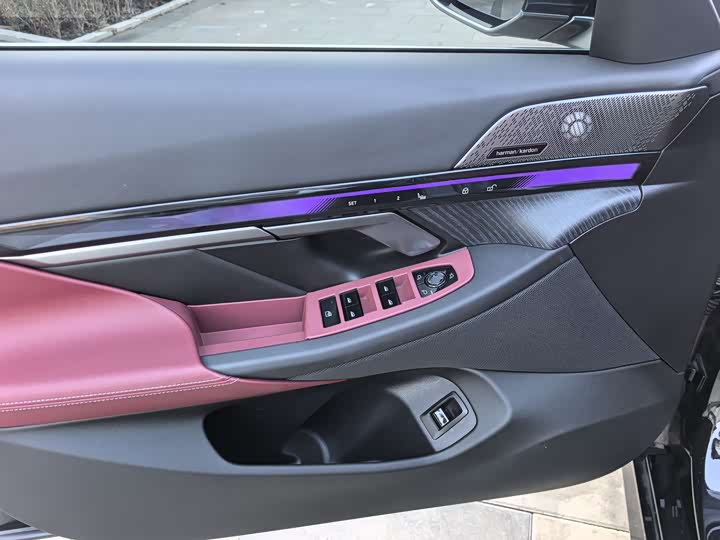 BMW 5 Series 2025 2025款 530Li 领先型 豪华套装