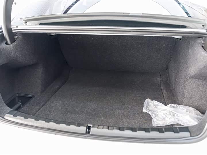 BMW 3 Series 2025 2025款 325Li M运动套装