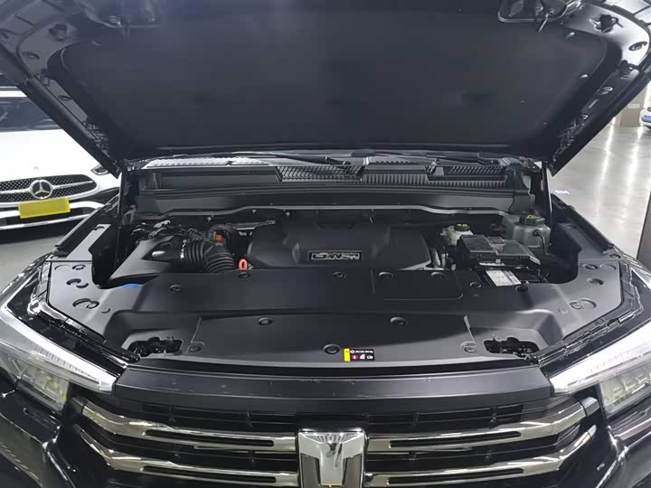 Tank 400 Hybrid 2024 2024款 Hi4-T 越野版