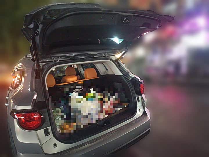 Haval H-Dog Hybrid 2024 2024款 Hi4 102km 潮电版Plus