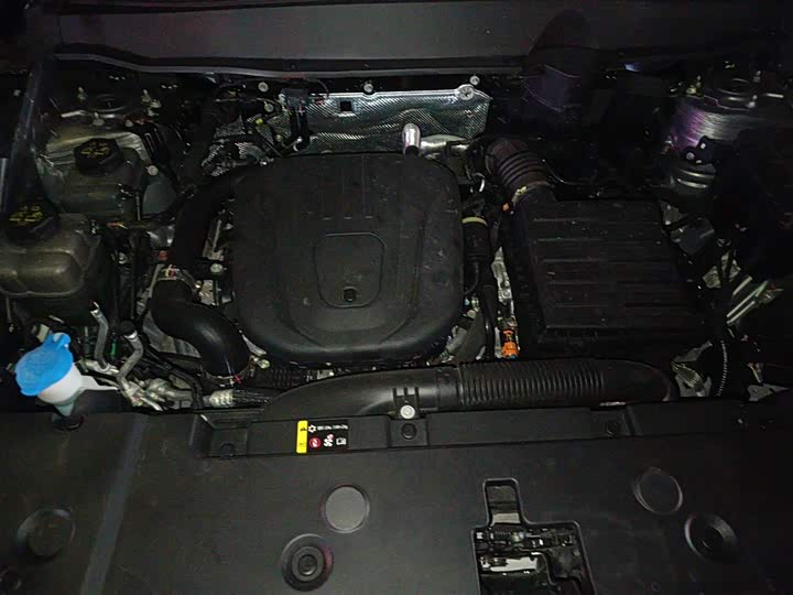 Haval H-Dog Hybrid 2024 2024款 Hi4 102km 潮电版Plus