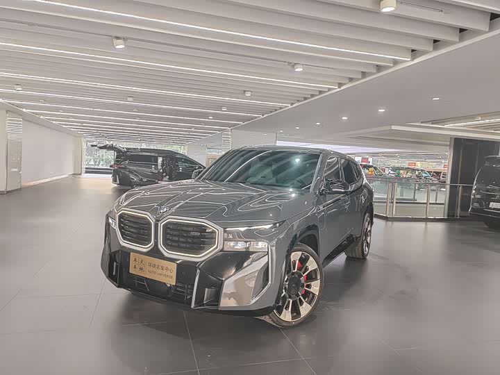 BMW XM 2023 2023款 50e