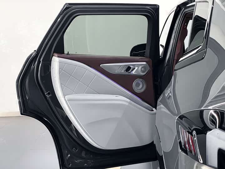 BMW XM 2023 2023款 50e