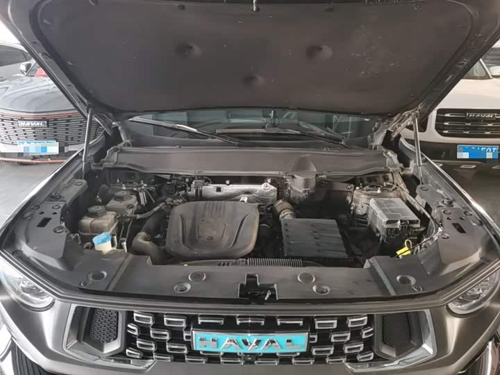 Haval H-Dog Hybrid 2024 2024款 Hi4 102km 潮电版Plus