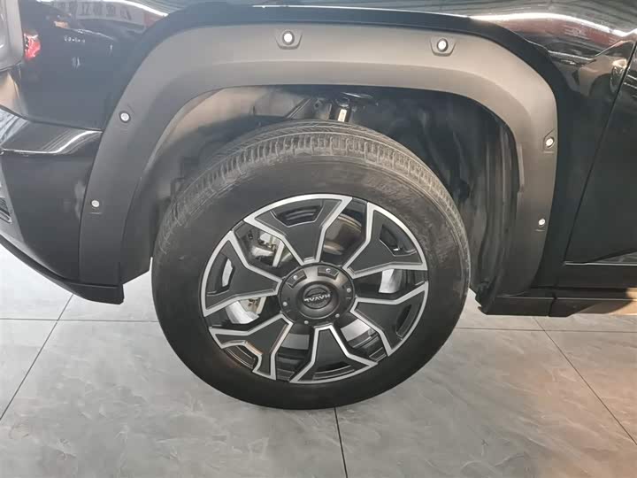 Haval H-Dog Hybrid 2024 2024款 Hi4 102km 潮电版Plus