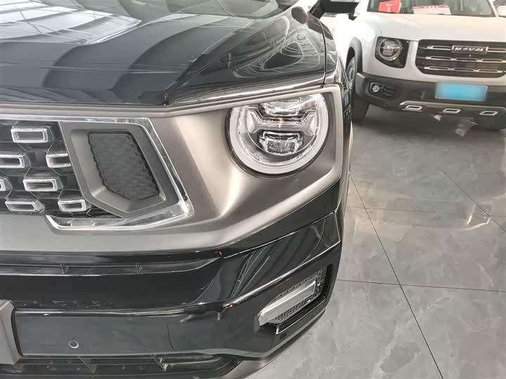 Haval H-Dog Hybrid 2024 2024款 Hi4 102km 潮电版Plus