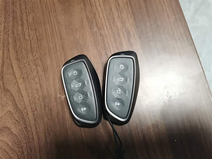 Haval H-Dog Hybrid 2024 2024款 Hi4 102km 潮电版Plus