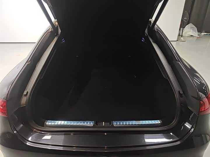 Mercedes-Benz EQS 2022 2022款 改款 450+ 先锋版