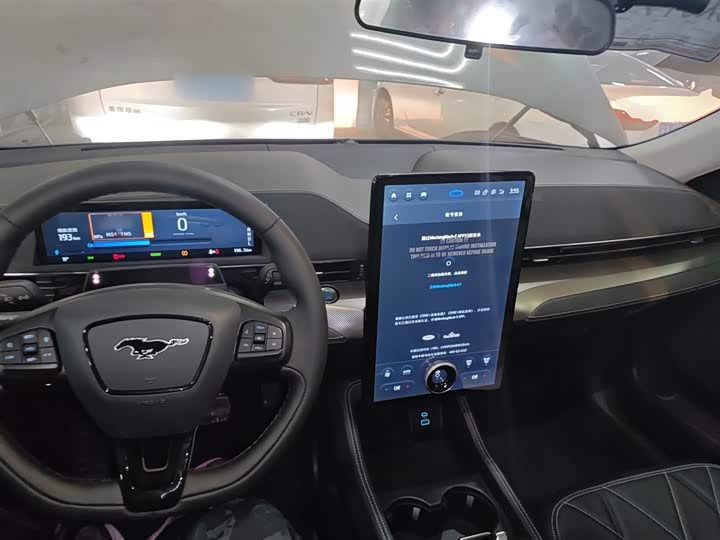 Ford Mustang Mach-E 2021 2021款 跃世后驱版(标准续航)