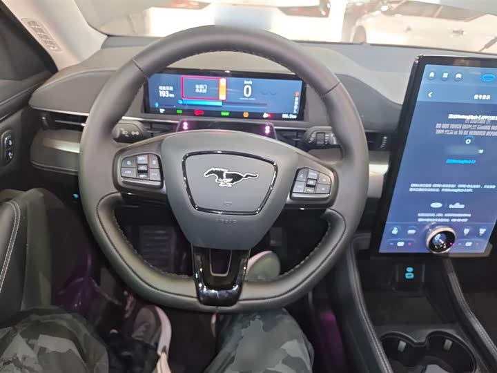 Ford Mustang Mach-E 2021 2021款 跃世后驱版(标准续航)