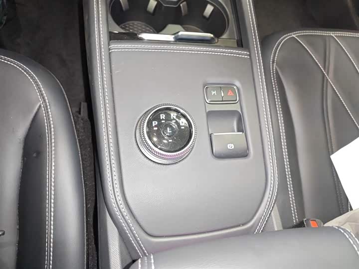 Ford Mustang Mach-E 2021 2021款 跃世后驱版(标准续航)