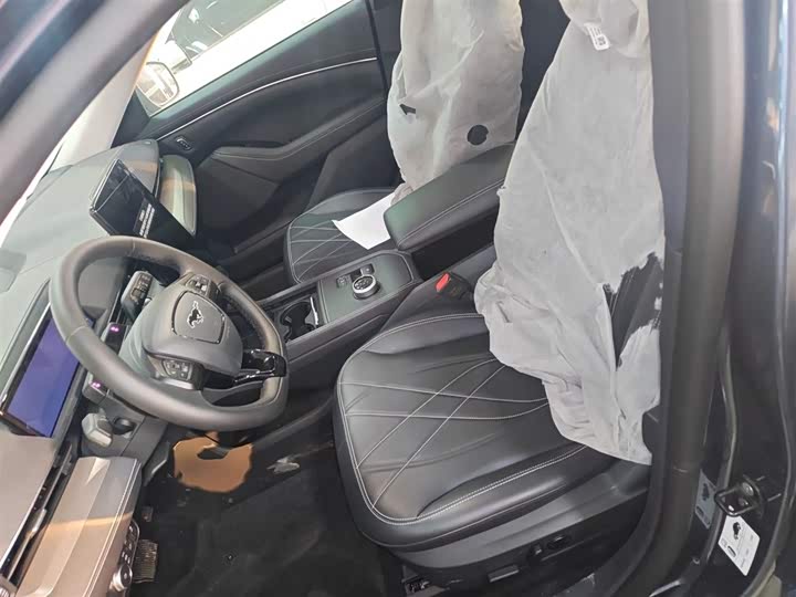 Ford Mustang Mach-E 2021 2021款 跃世后驱版(标准续航)