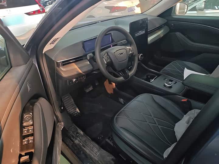 Ford Mustang Mach-E 2021 2021款 跃世后驱版(标准续航)