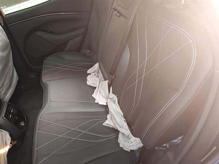 Ford Mustang Mach-E 2021 2021款 跃世后驱版(标准续航)