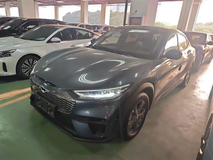 Ford Mustang Mach-E 2021 2021款 跃世后驱版(标准续航)