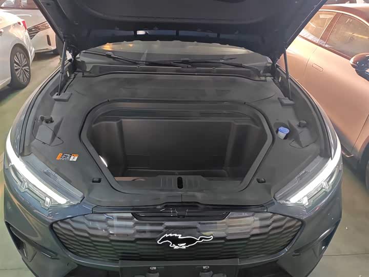 Ford Mustang Mach-E 2021 2021款 跃世后驱版(标准续航)