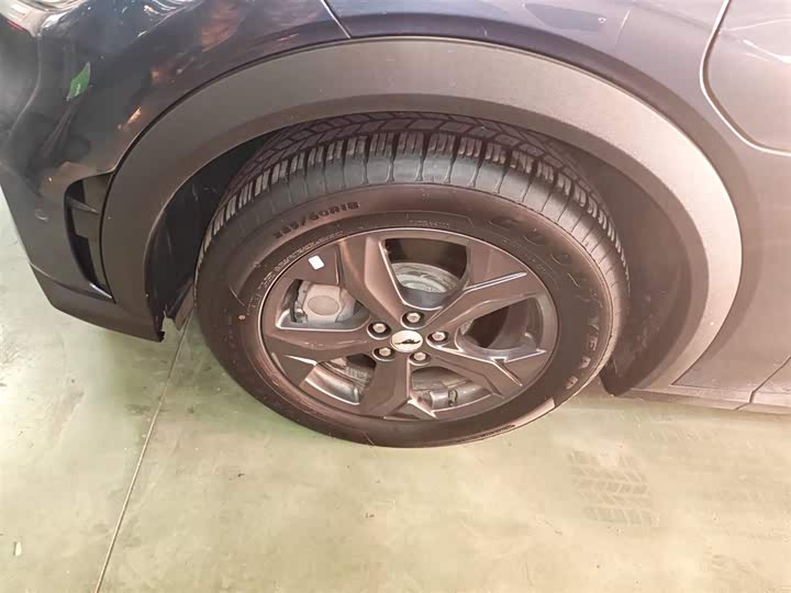 Ford Mustang Mach-E 2021 2021款 跃世后驱版(标准续航)