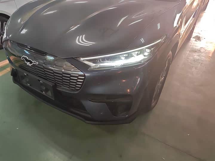 Ford Mustang Mach-E 2021 2021款 跃世后驱版(标准续航)