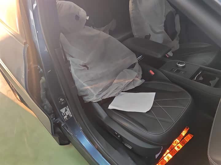 Ford Mustang Mach-E 2021 2021款 跃世后驱版(标准续航)