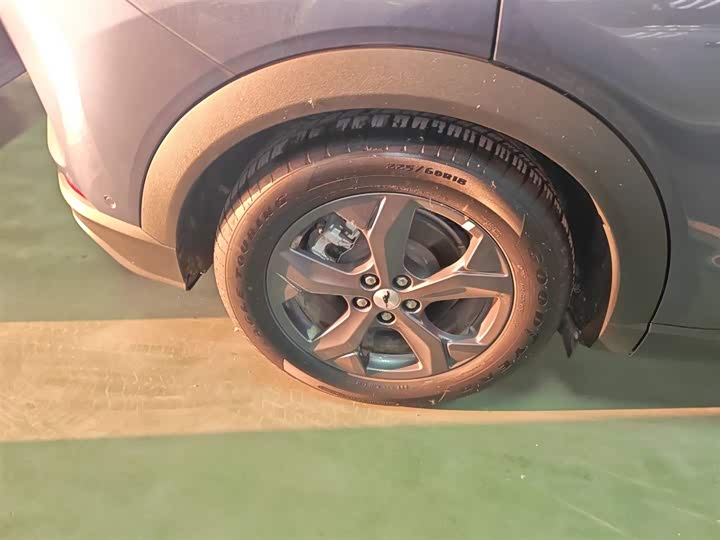 Ford Mustang Mach-E 2021 2021款 跃世后驱版(标准续航)