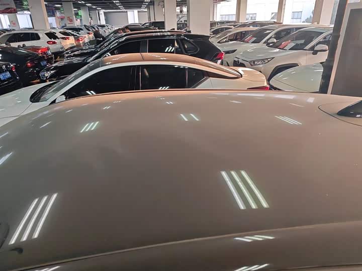 Ford Mustang Mach-E 2021 2021款 跃世后驱版(标准续航)